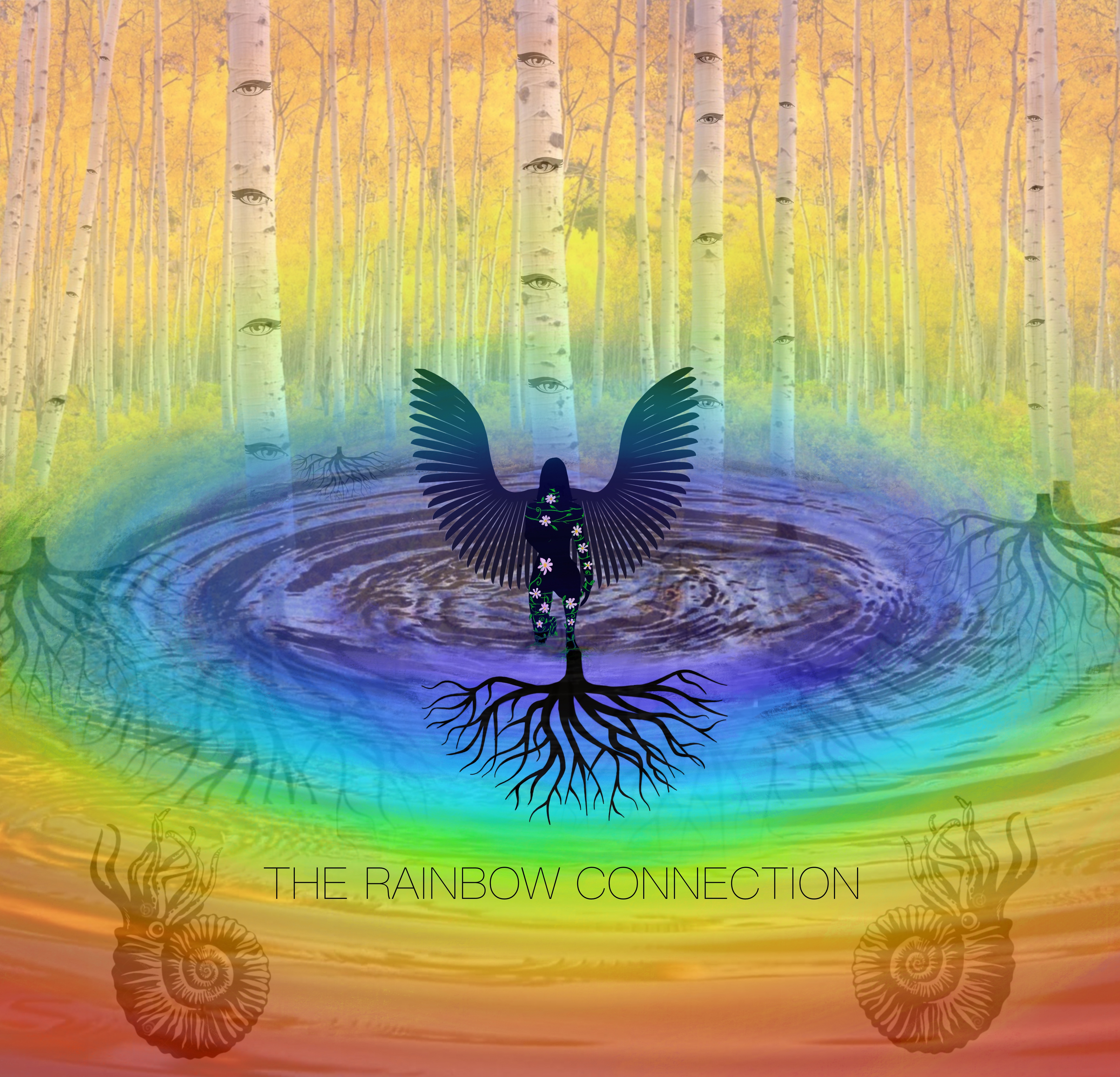 The Rainbow Connection